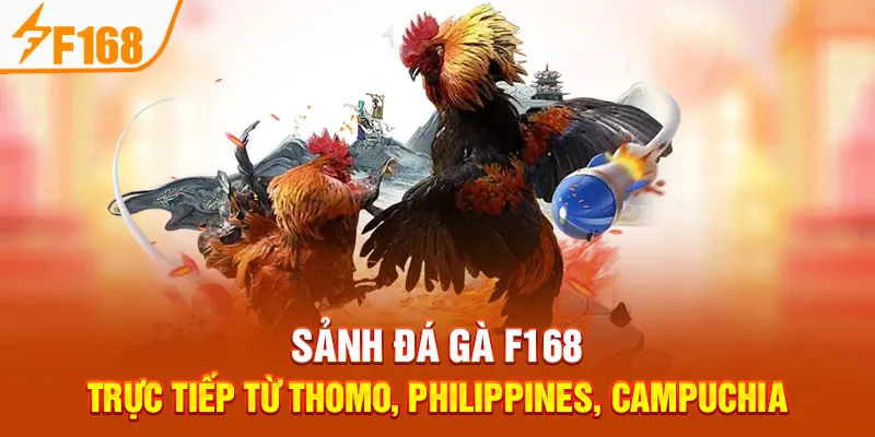 Sảnh Đá Gà F168 – Trực Tiếp Từ Thomo, Philippines, Campuchia